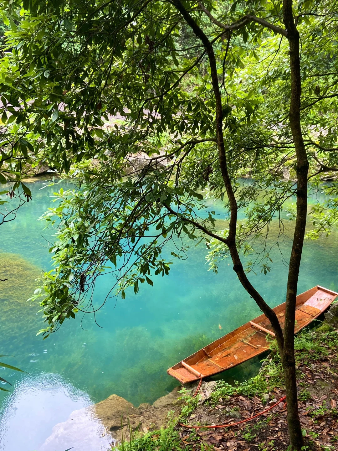 荔波小七孔已回📍live实况+真心建议🤩听劝…