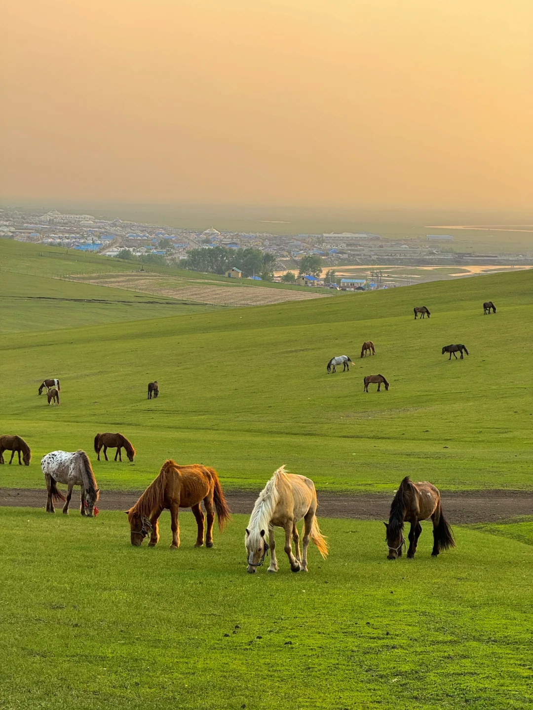 live风吹草低见牛羊，此刻我被治愈了~