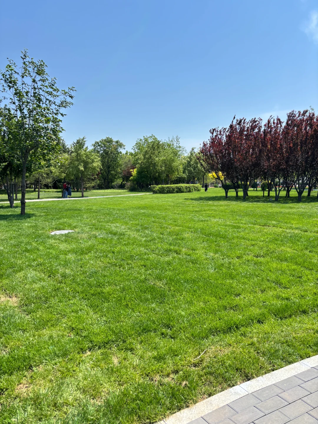 端午要来天津的宝子们注意啦❗️来天津必看❗️