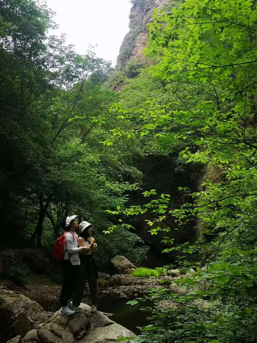 🍉京津冀夏日避暑玩水！九龙潭