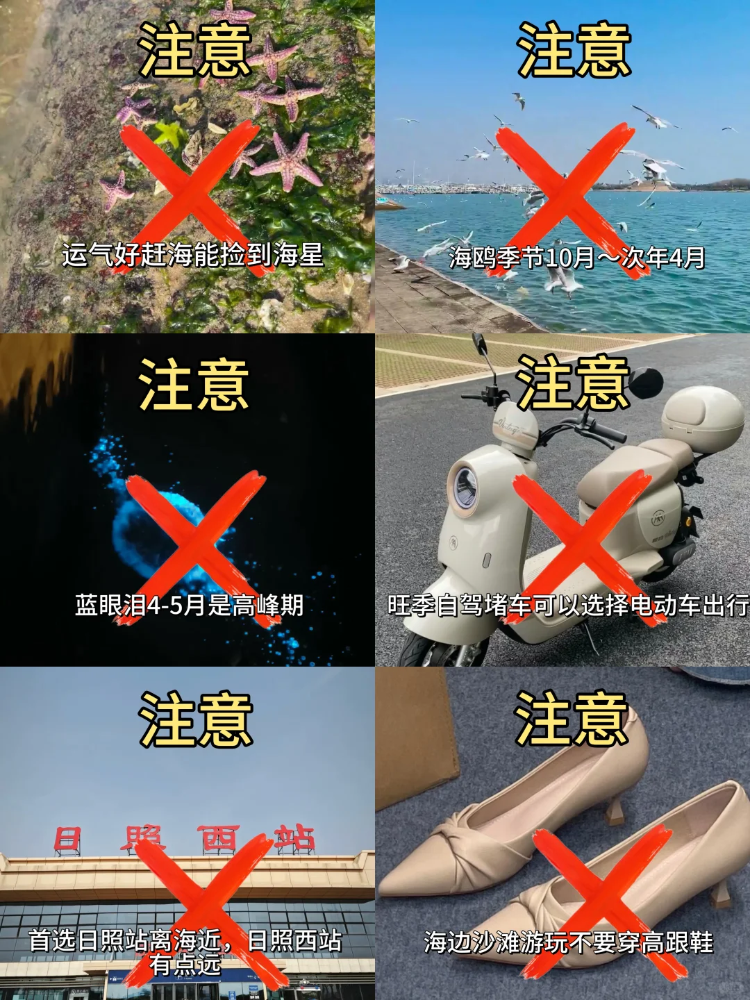 5.24📍号日照刚回来，总结一下自己的感受