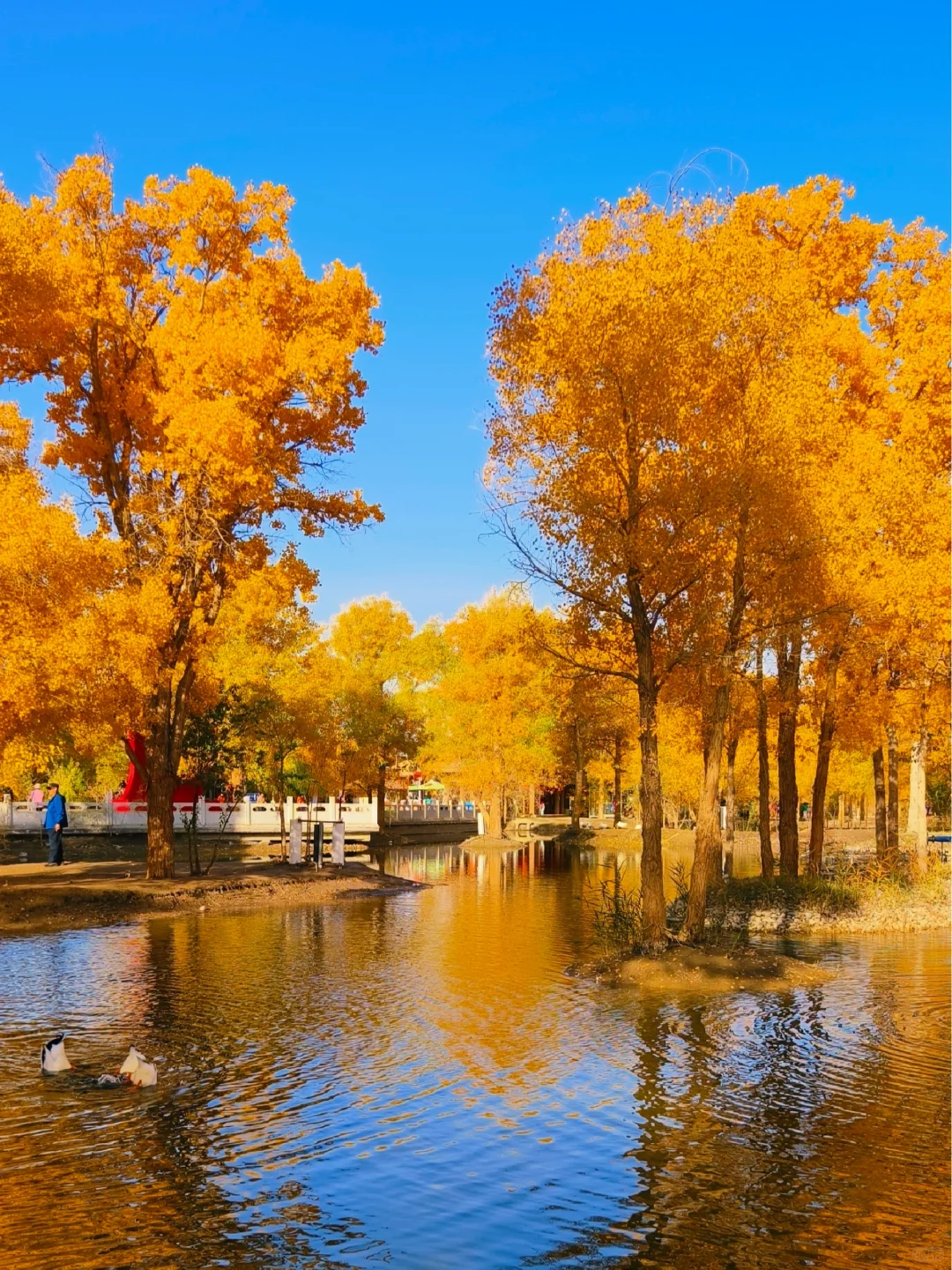 56岁老阿姨也可以玩得很嗨