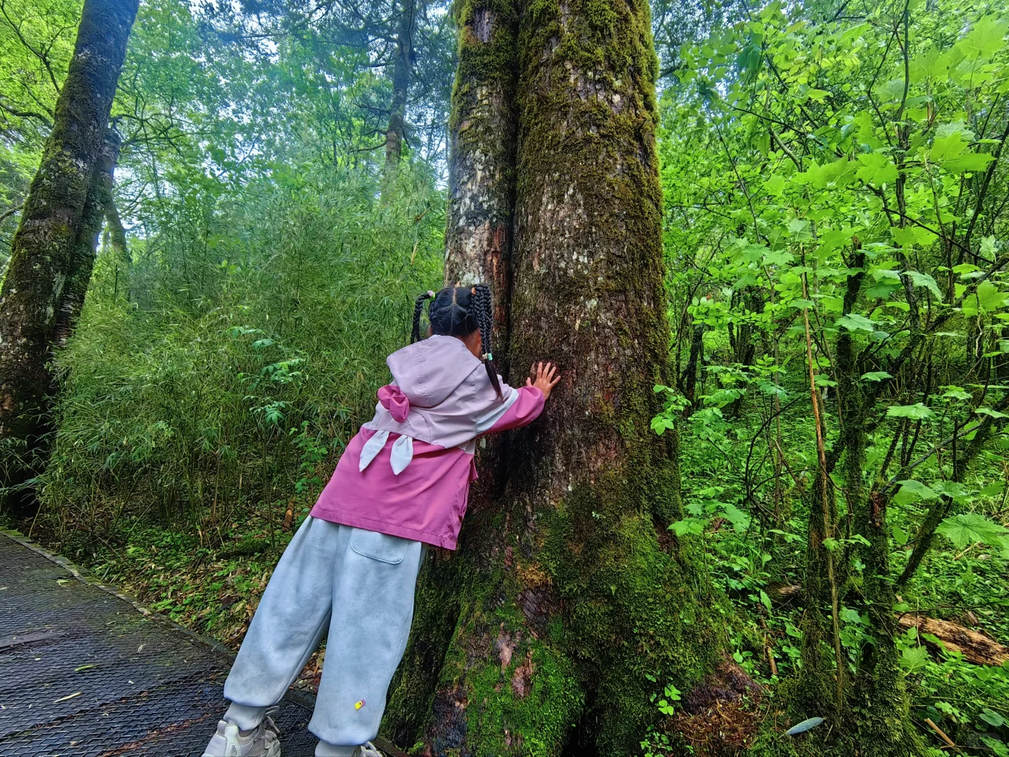 【端午假期西安自驾神农架四天三晚】3