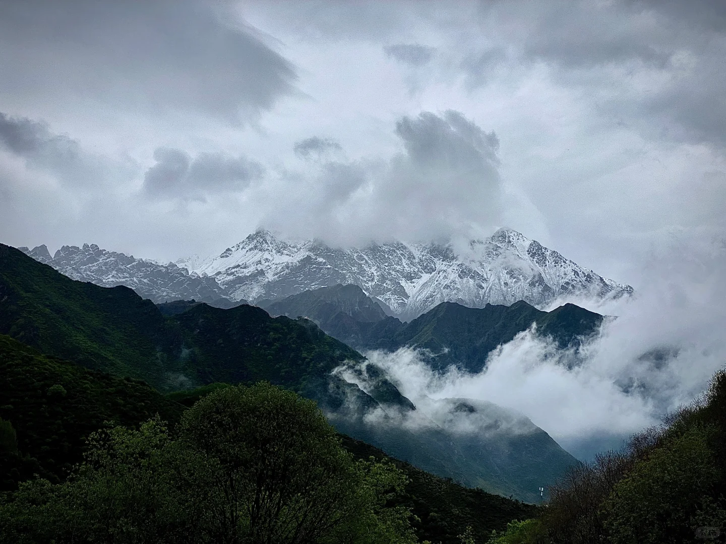 云海之中，雪山之上！