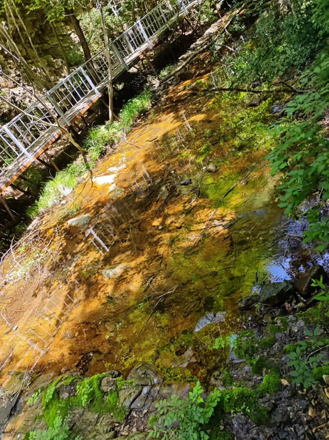 🍉京津冀夏日避暑玩水！九龙潭