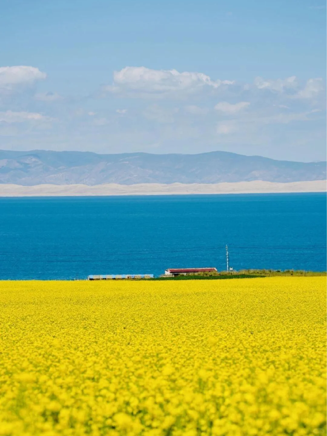 人生建议：带娃去敦煌，一定要6-8月去❗️