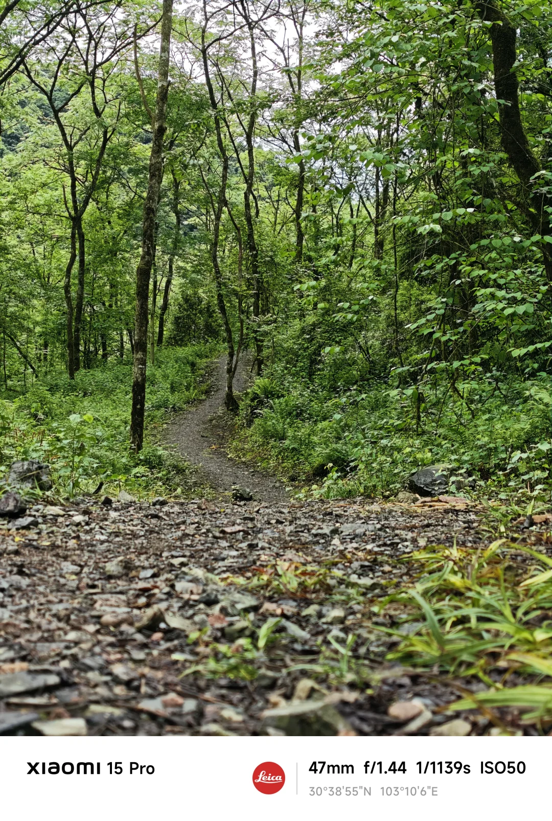 成都/大邑/大飞水景区亲子徒步