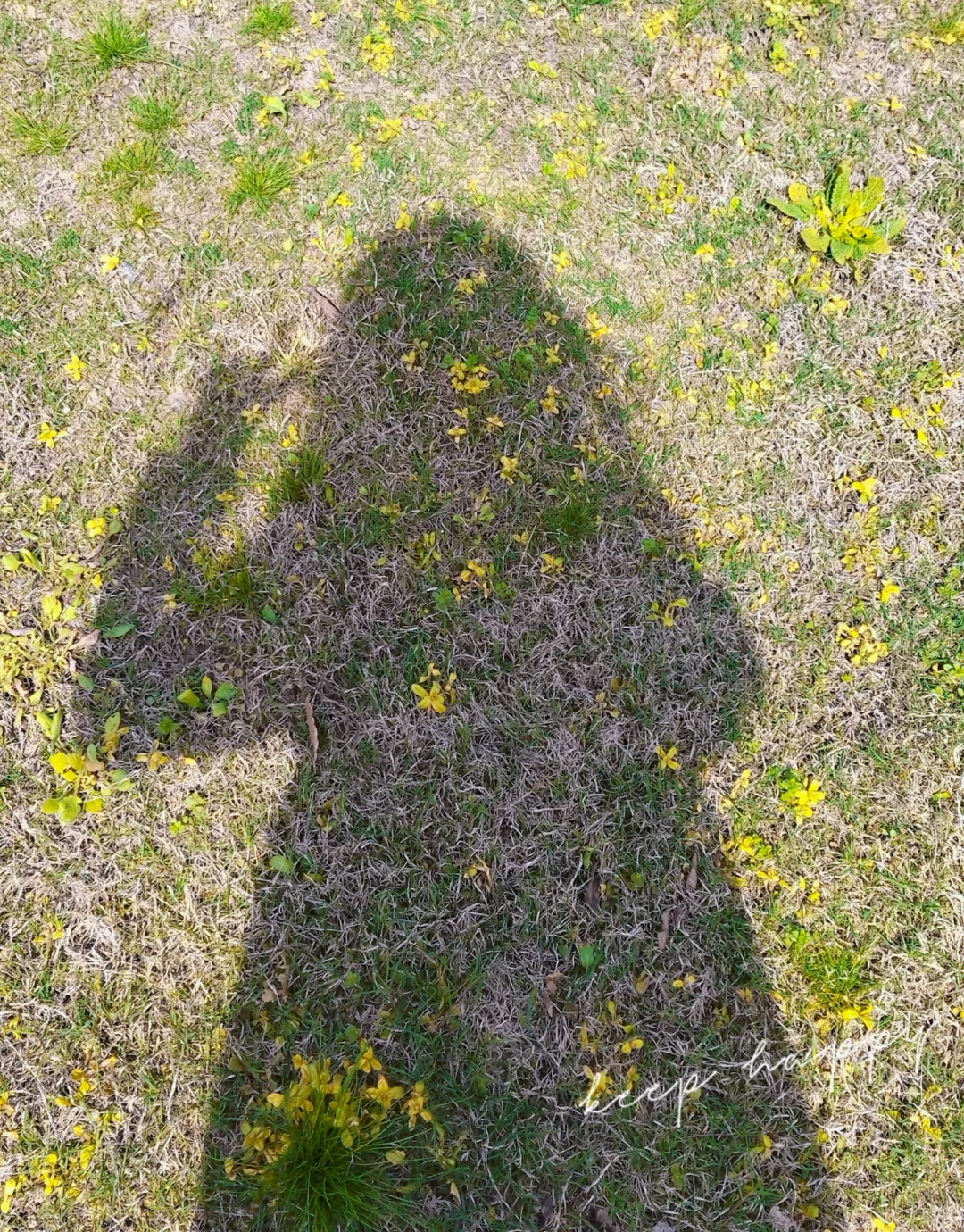 南京三天两夜旅游攻略——不绕路，详细路线