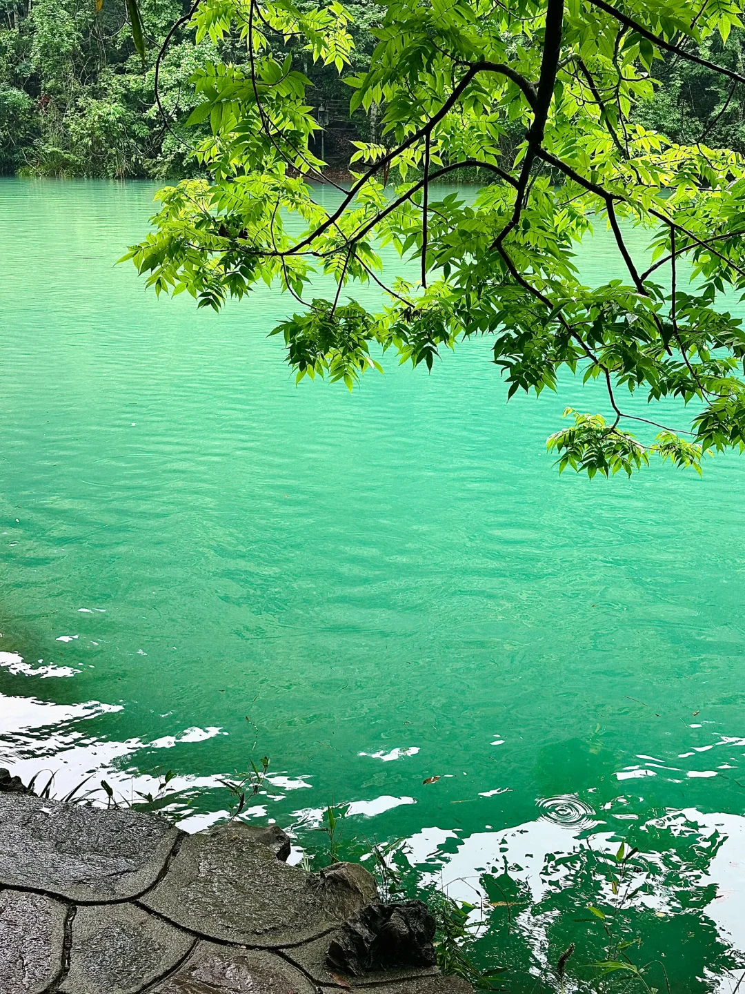 荔波小七孔已回📍live实况+真心建议🤩听劝…