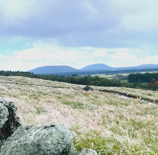 总统同款治愈力！济州岛网红打卡全攻略！