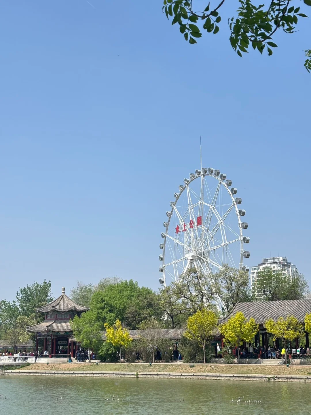 端午要来天津的宝子们注意啦❗️来天津必看❗️