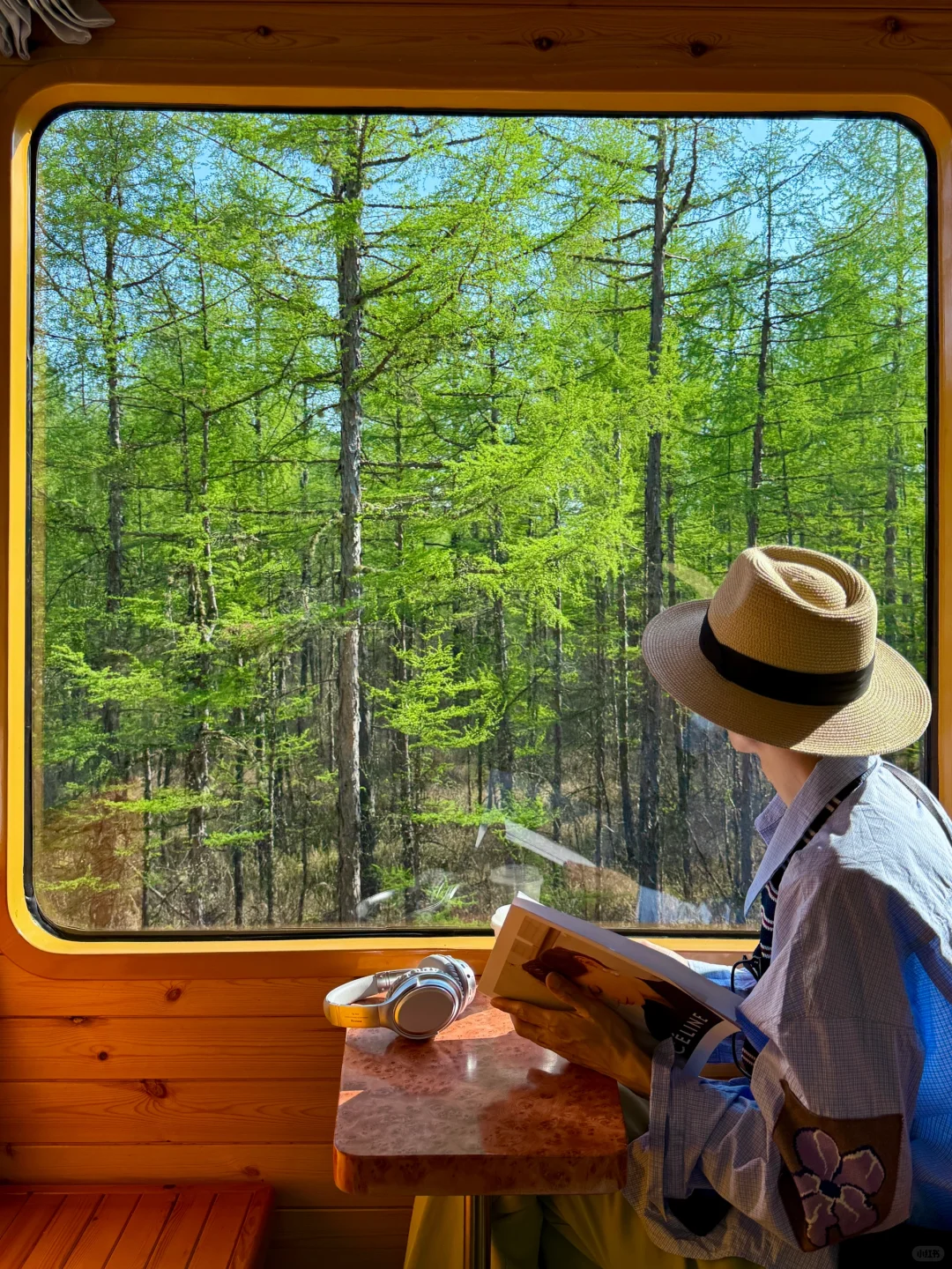 live风吹草低见牛羊，此刻我被治愈了~