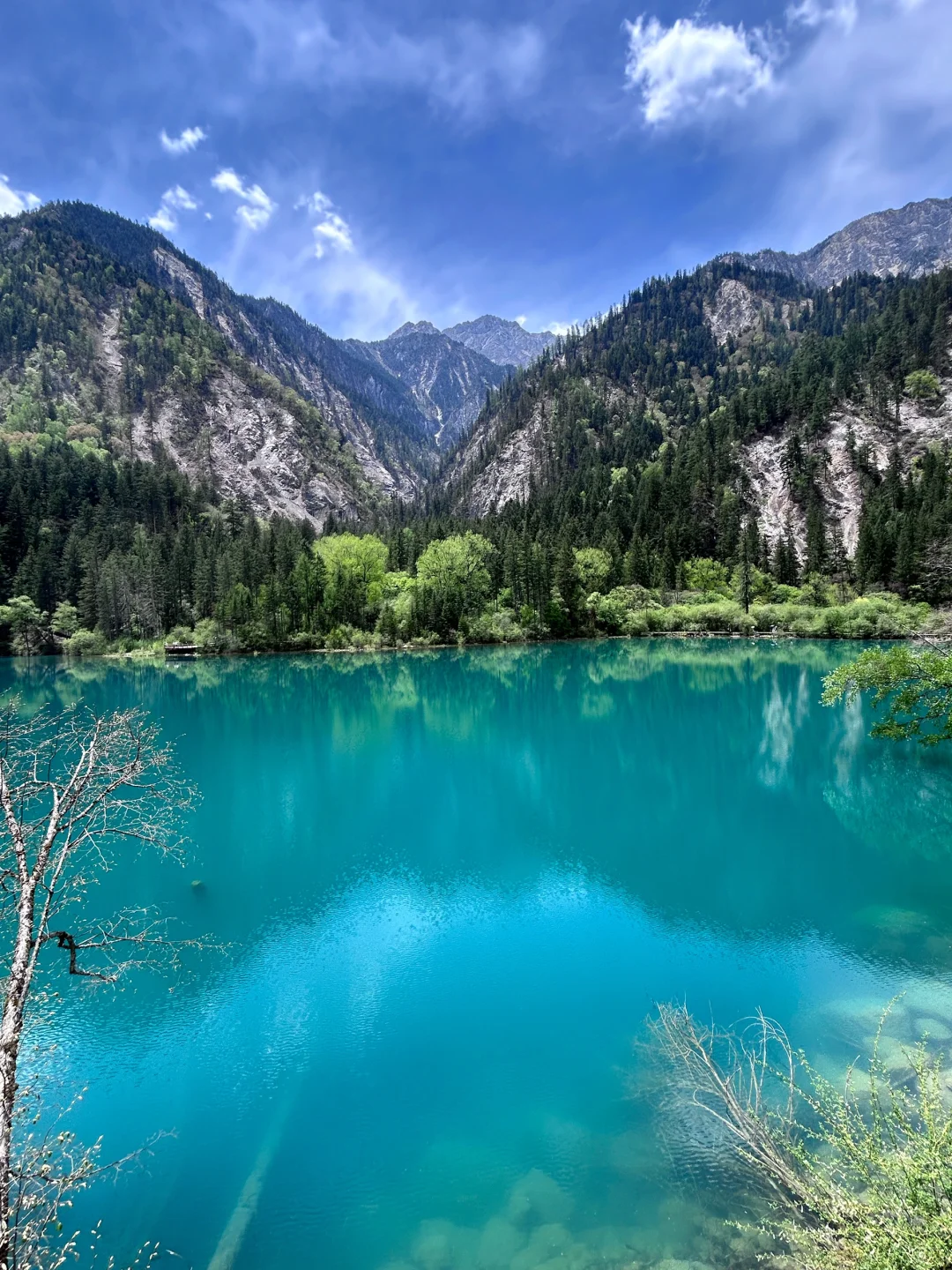 关于我花550💰报老年团去九寨沟的测评…绝了