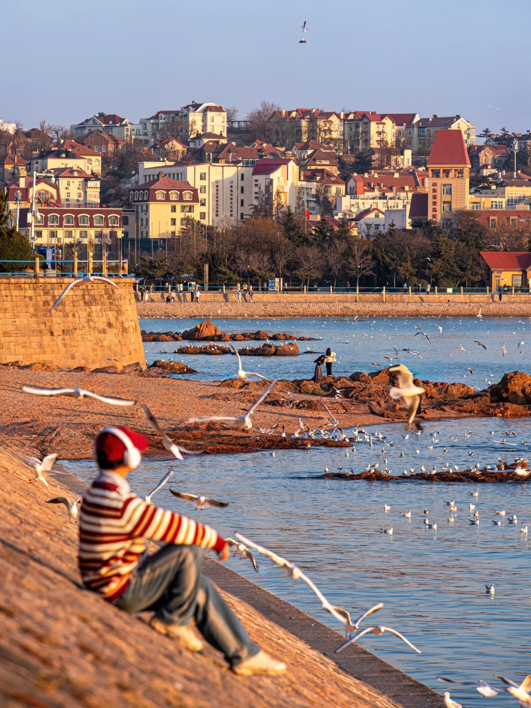 人生建议：拍完这1️⃣1️⃣个地方再离开青岛……