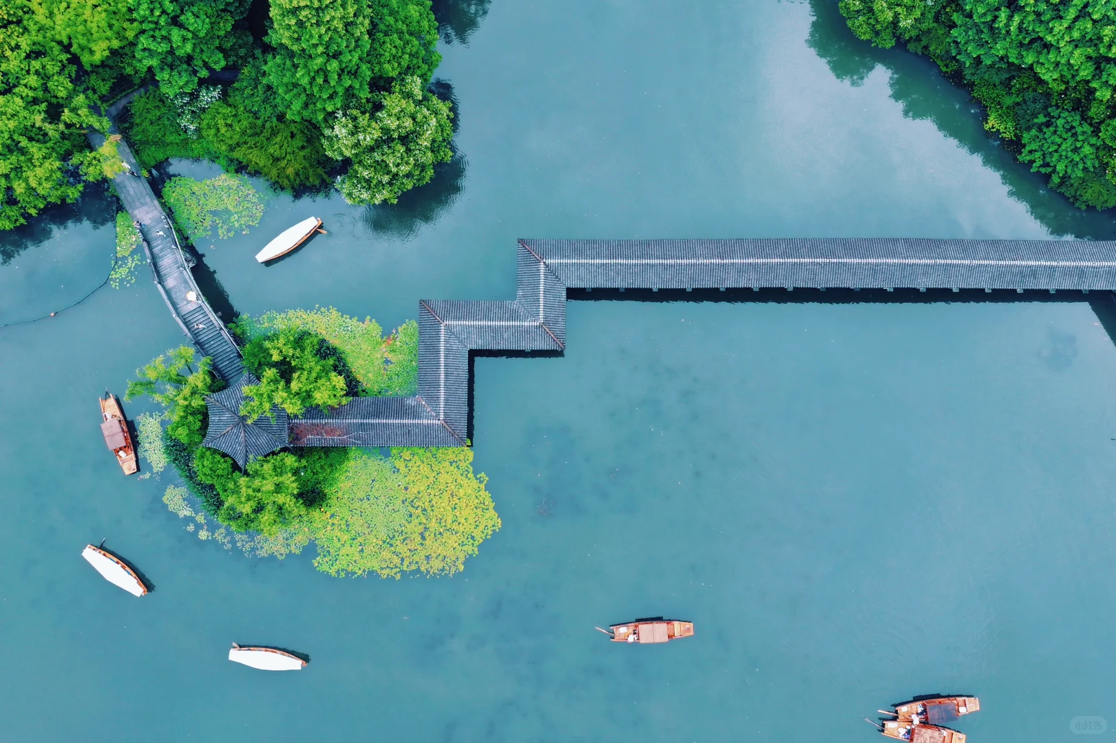 Summer & Autumn 浴鹄湾