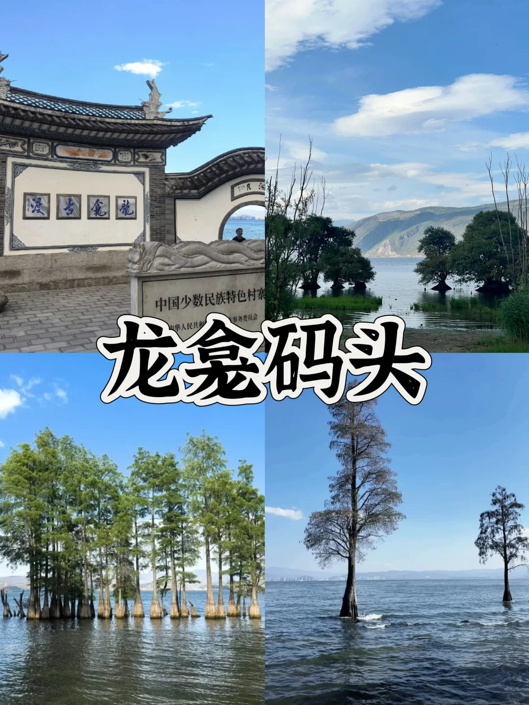 03女大📍大理/两日游不走回头路线攻略‼️