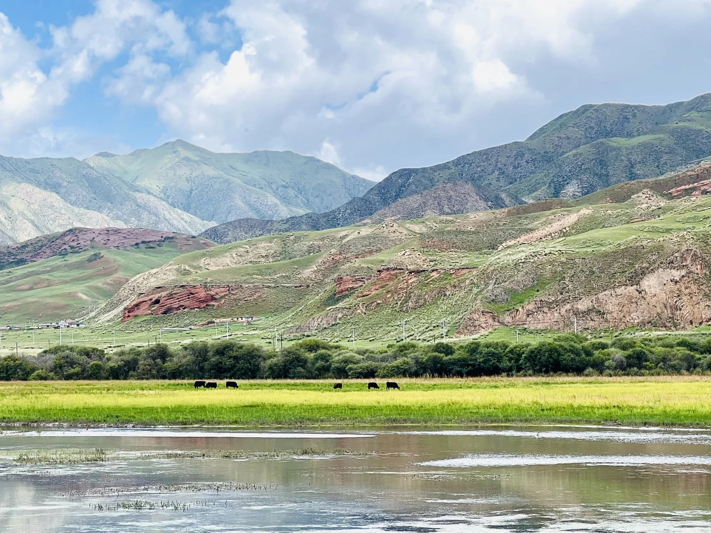 6000字的天水甘南兰州亲子自驾游攻略❗️