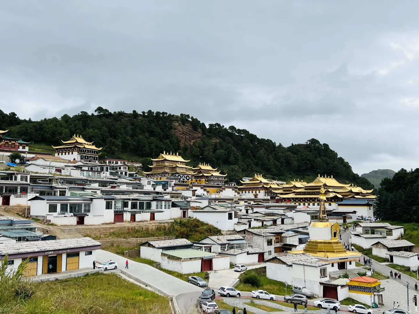 6000字的天水甘南兰州亲子自驾游攻略❗️