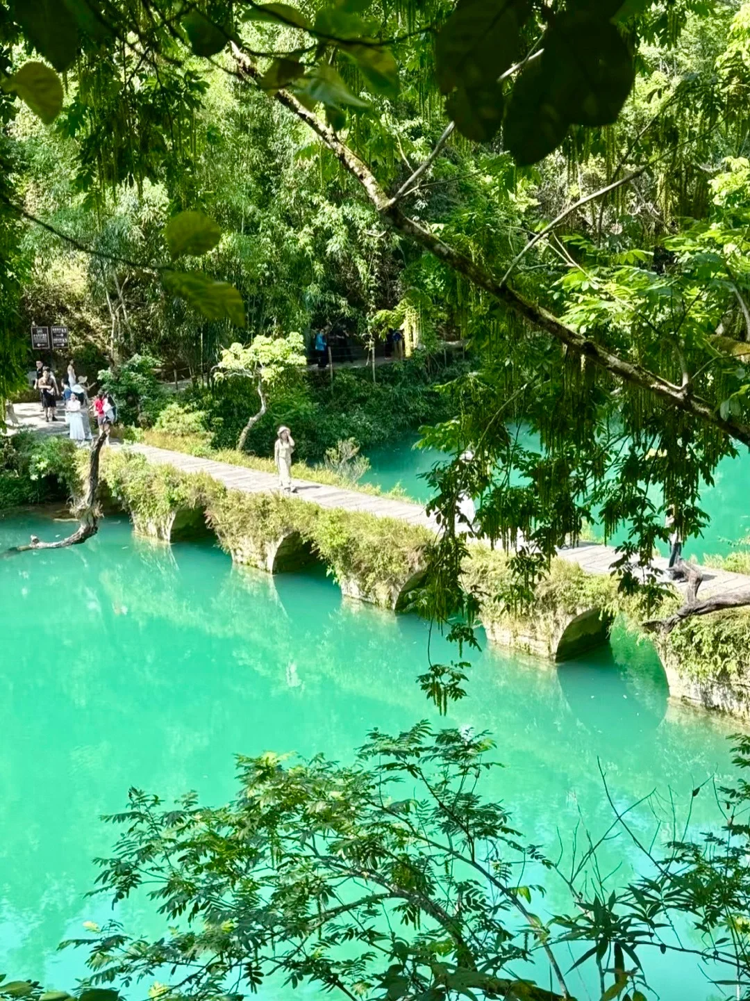 荔波小七孔已回📍live实况+真心建议🤩听劝…