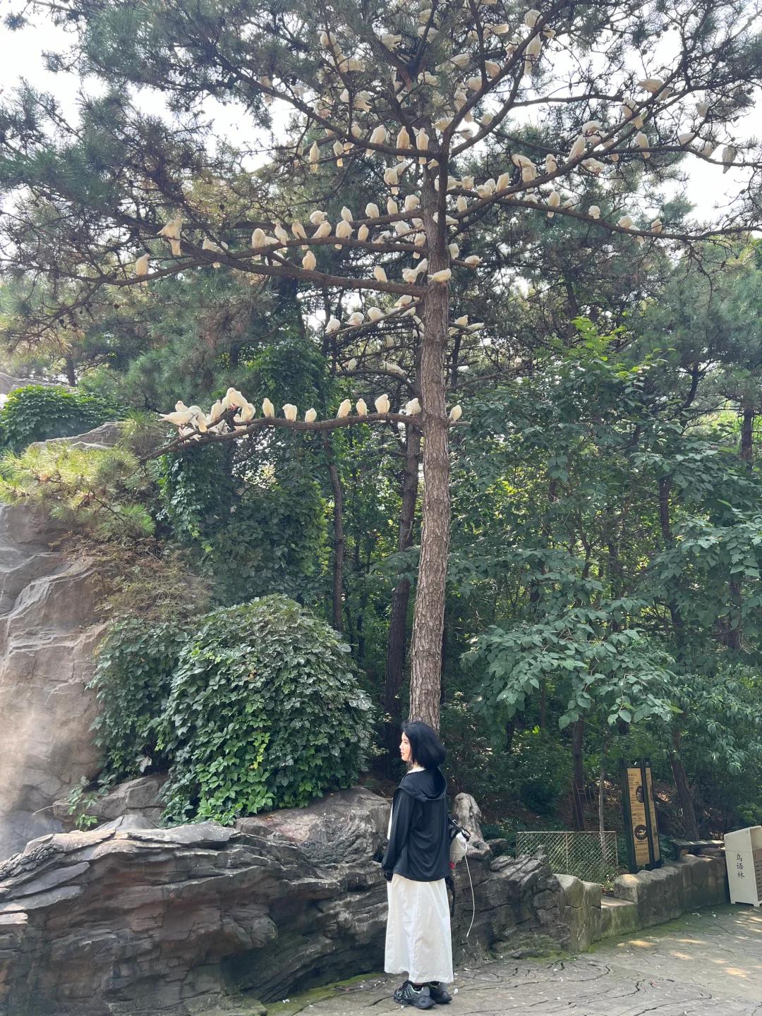 北方“小桂林”山海关燕塞湖攻略来了