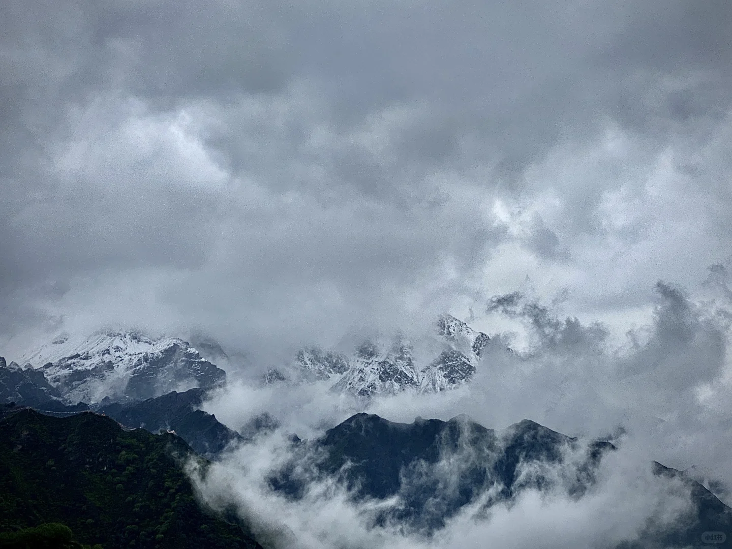 云海之中，雪山之上！