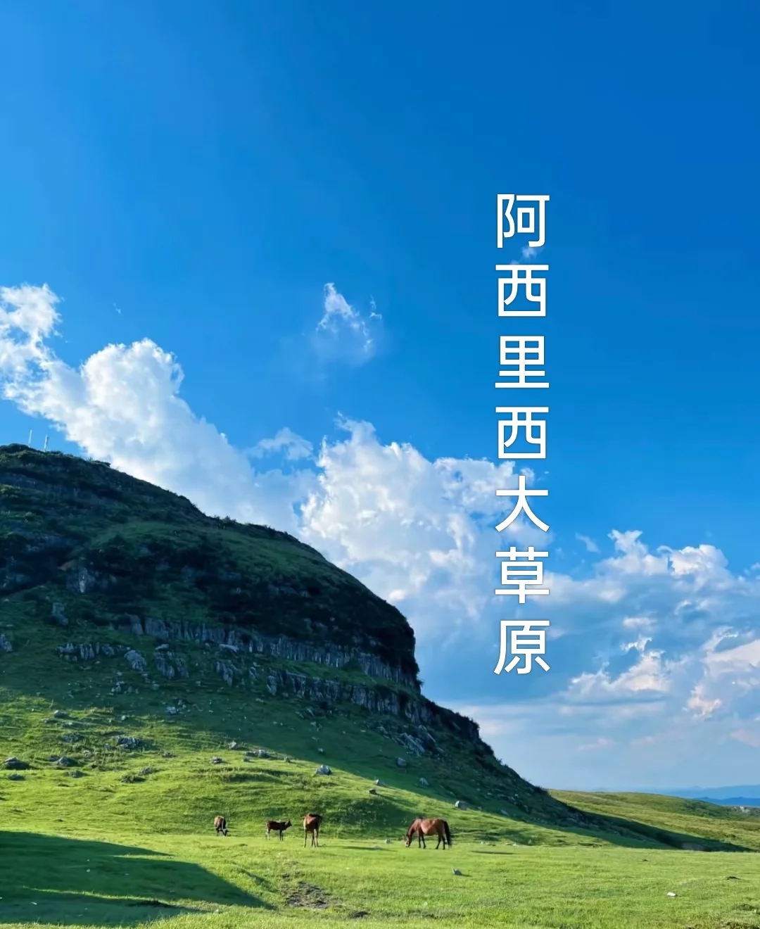 在贵州毕节,藏着一片媲美北疆的治愈天堂