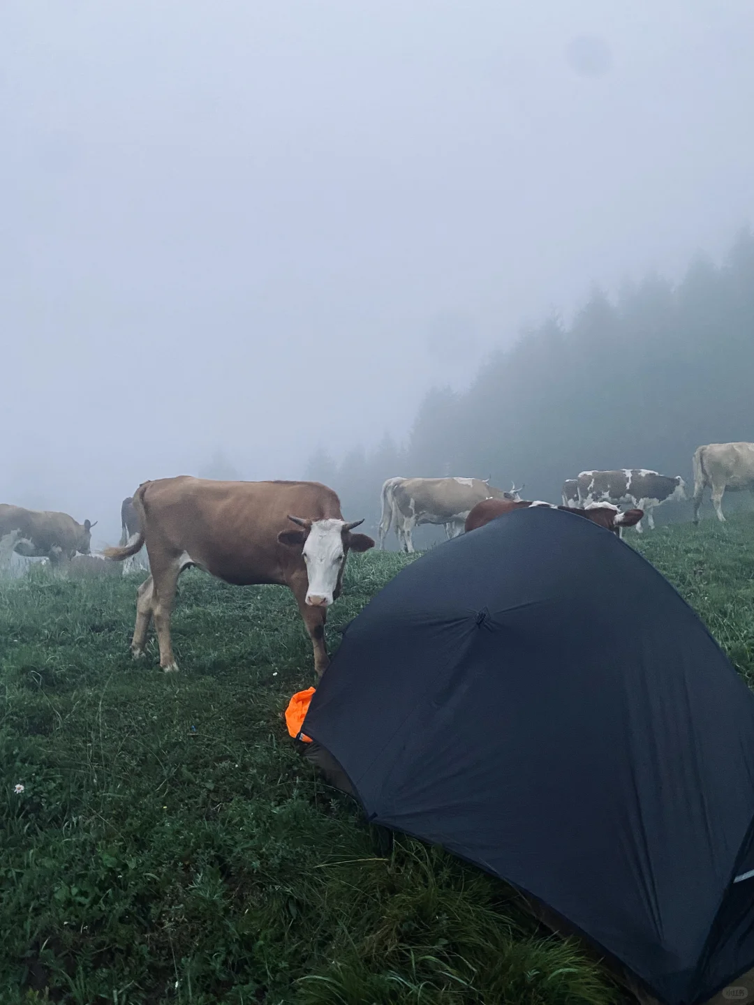 📍五台山 “文殊菩萨的道场”