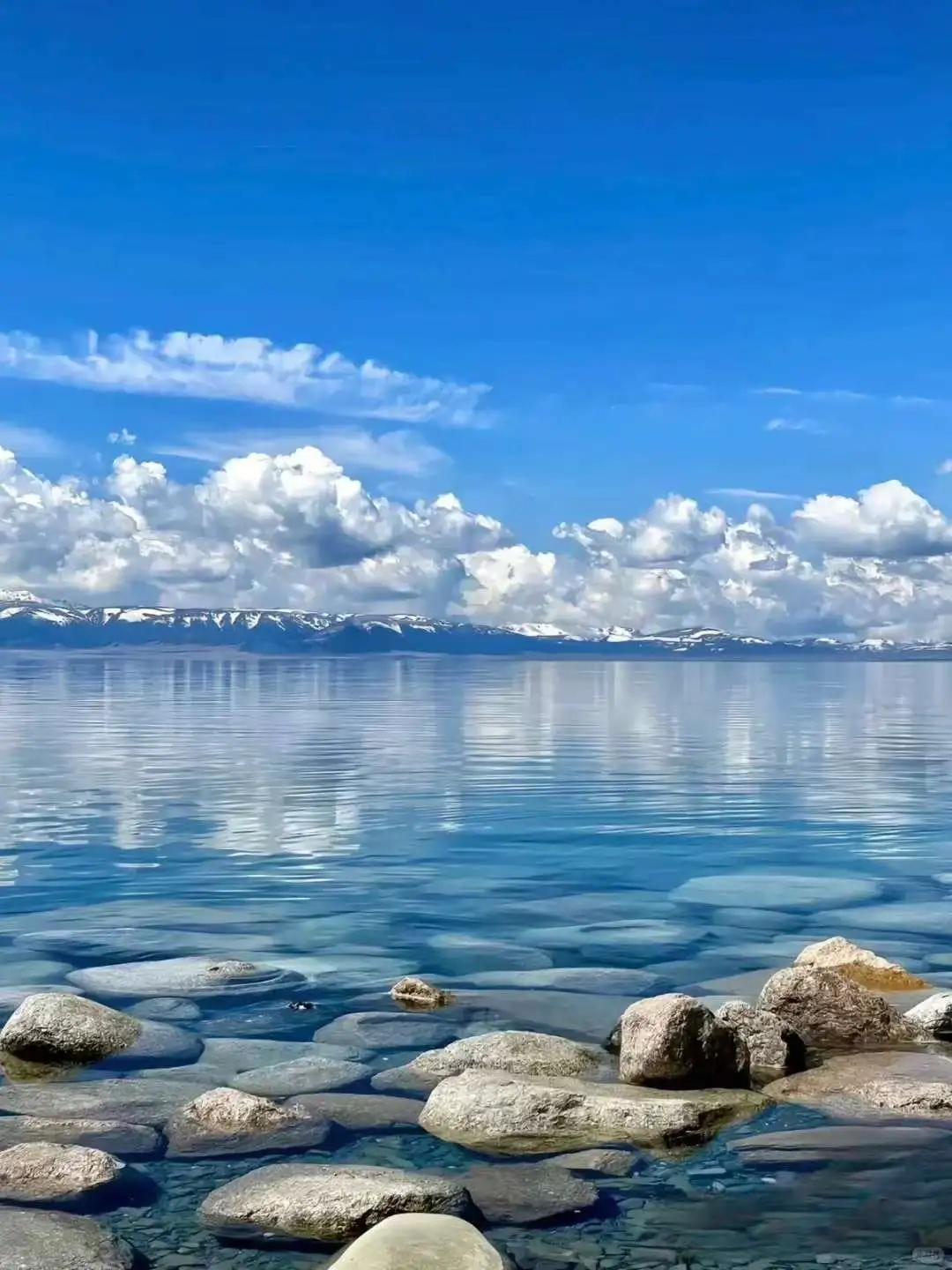 新疆旅游最全保姆级攻略⭐️暑假旅行必看