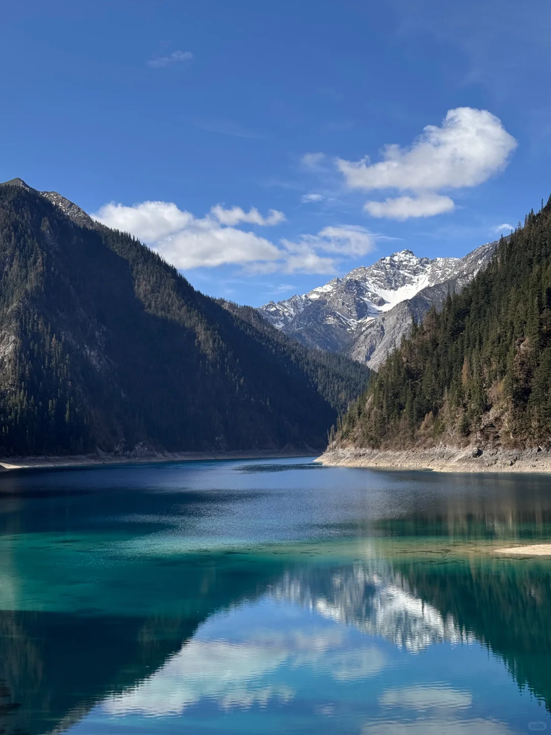 关于我花550💰报老年团去九寨沟的测评…绝了