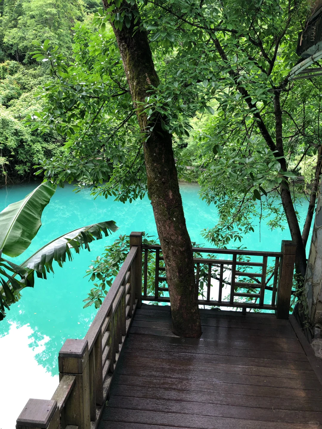 荔波小七孔已回📍live实况+真心建议🤩听劝…