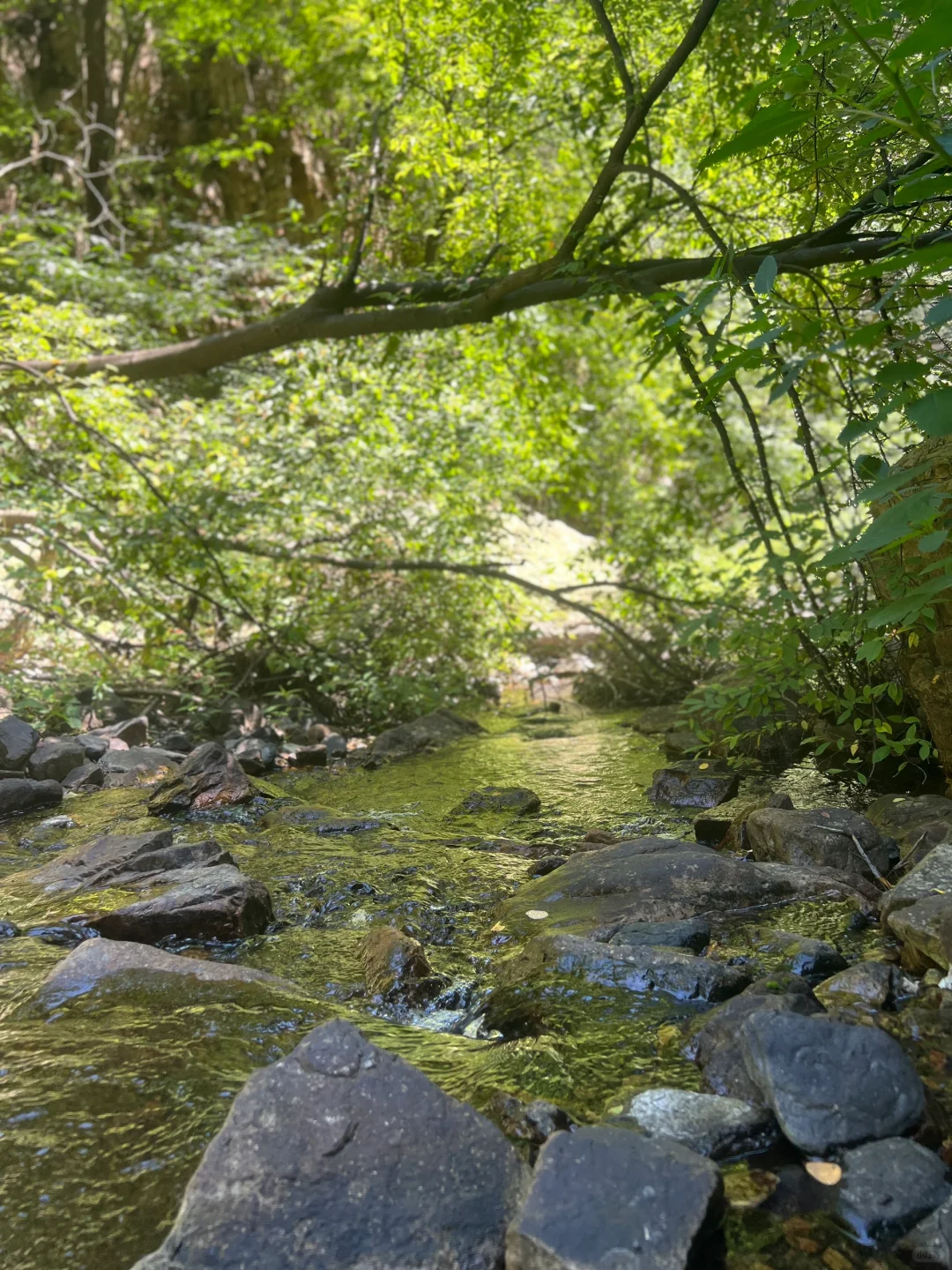 🍉京津冀夏日避暑玩水！九龙潭