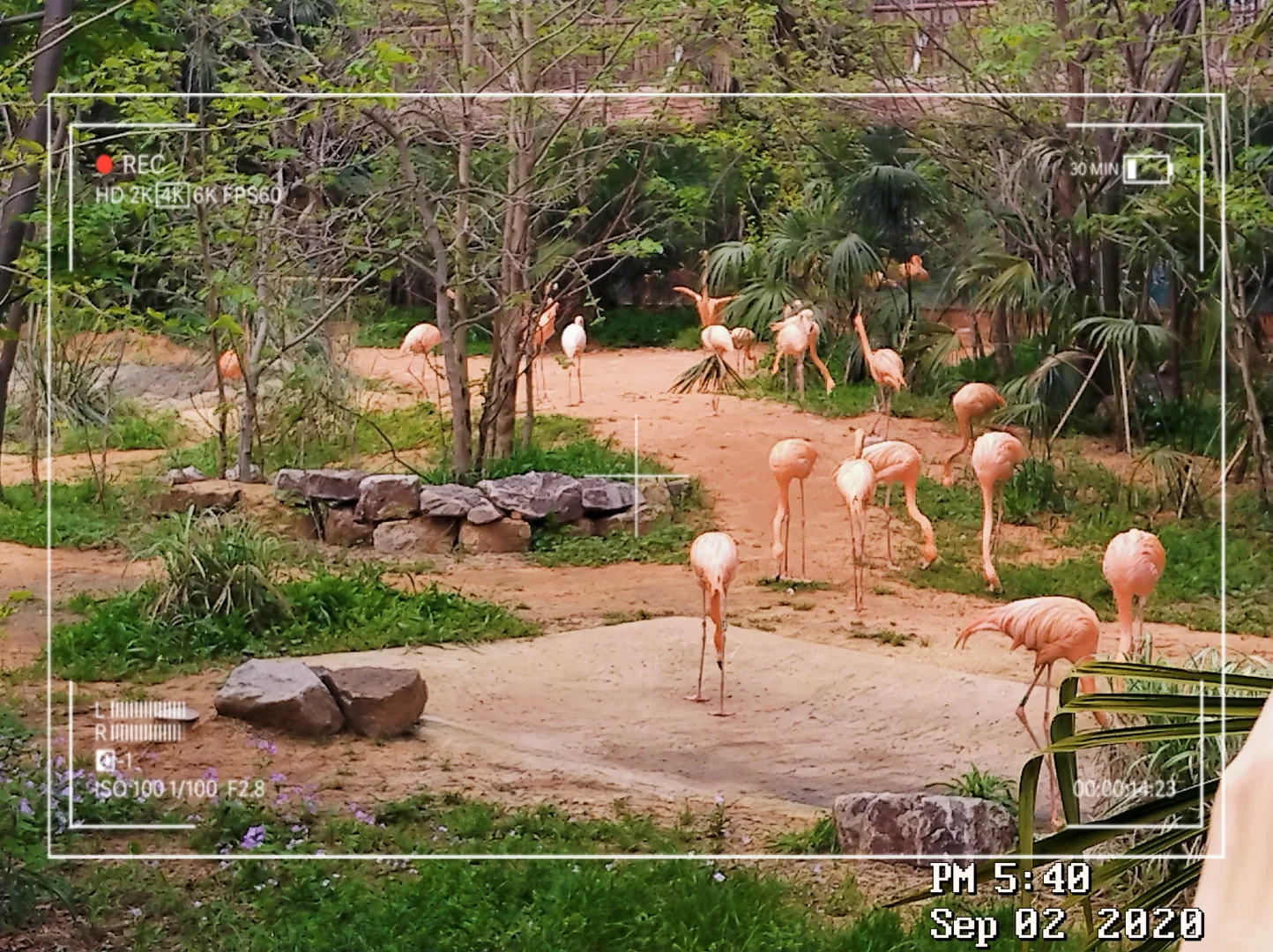 南京三天两夜旅游攻略——不绕路，详细路线