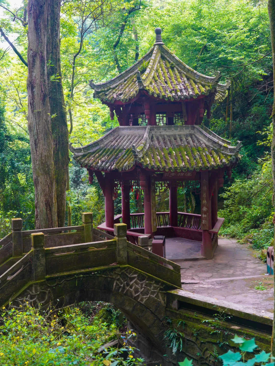 成都周边1h!!现实版《国色芳华》好震撼!!