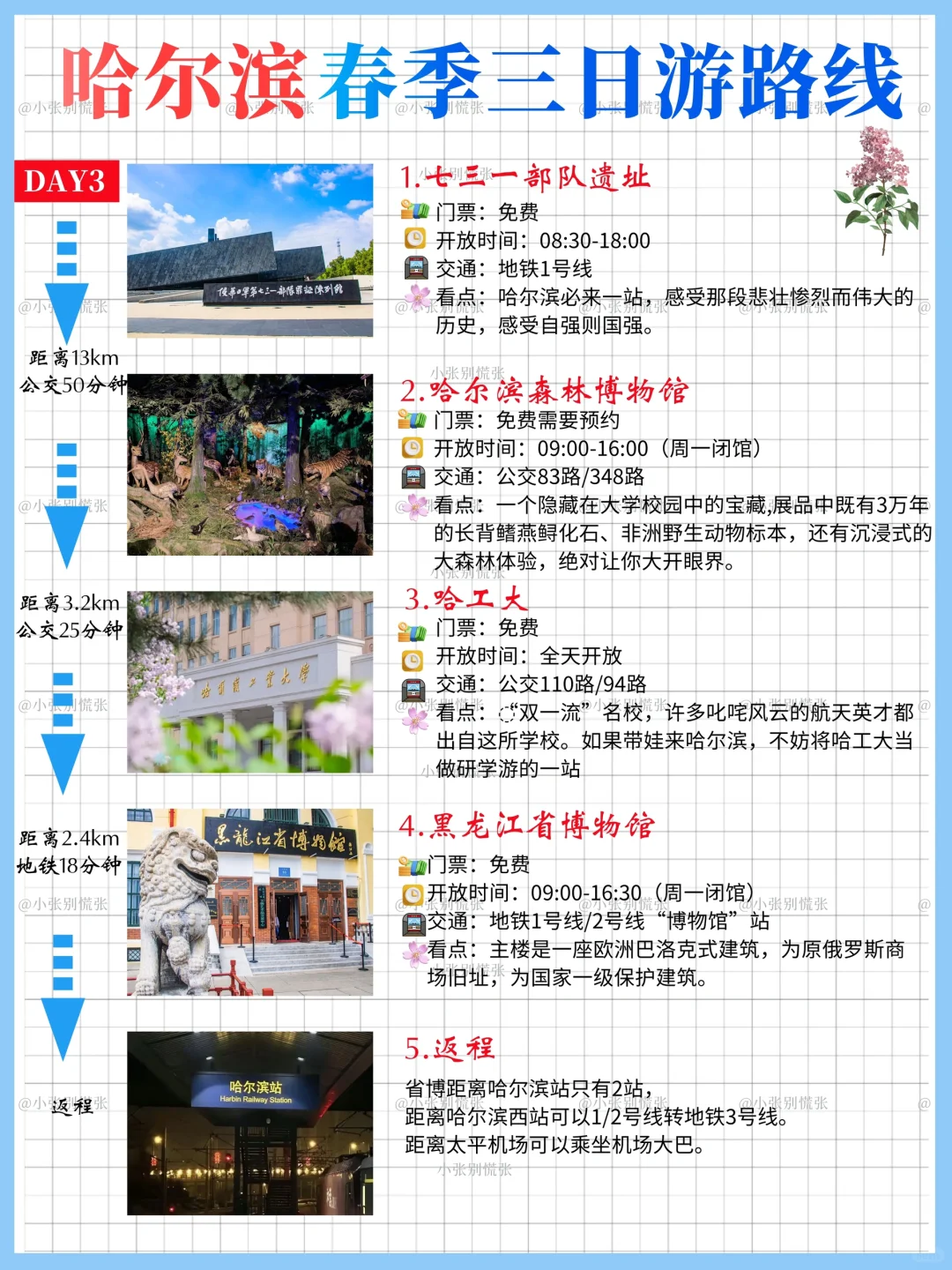 五一去哪儿|哈尔滨三天两晚旅游攻略请收好