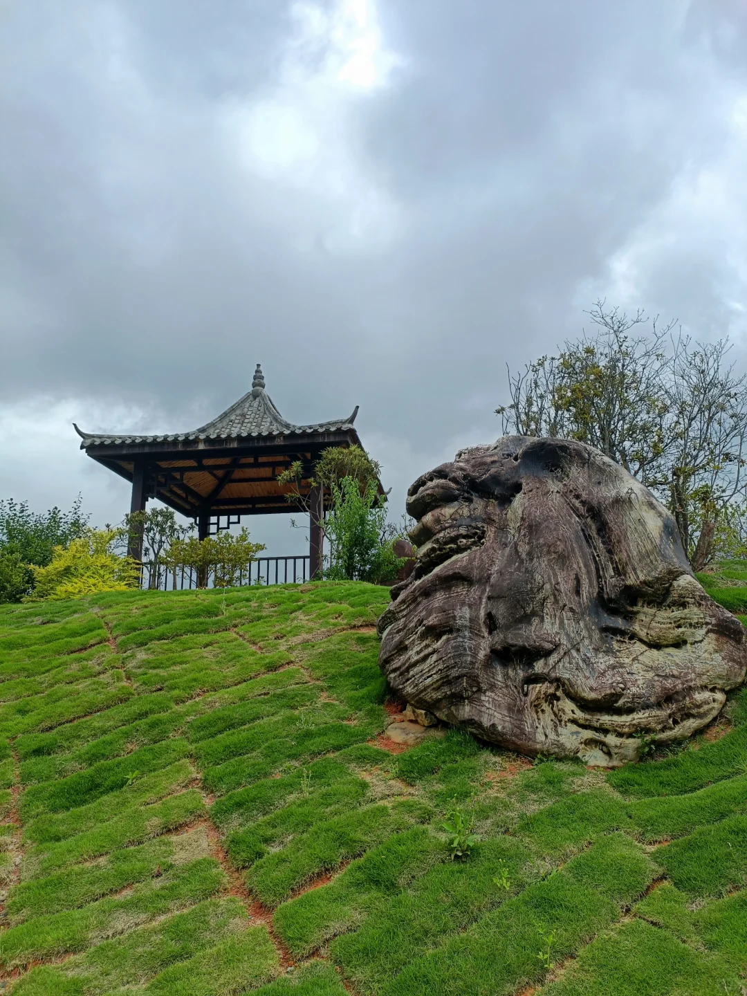 永福杜鹃谷：趁明年春天可能收💰前赶紧冲