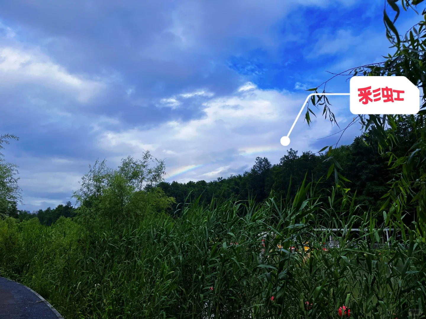 谁说绿野仙踪只在童话里⁉️