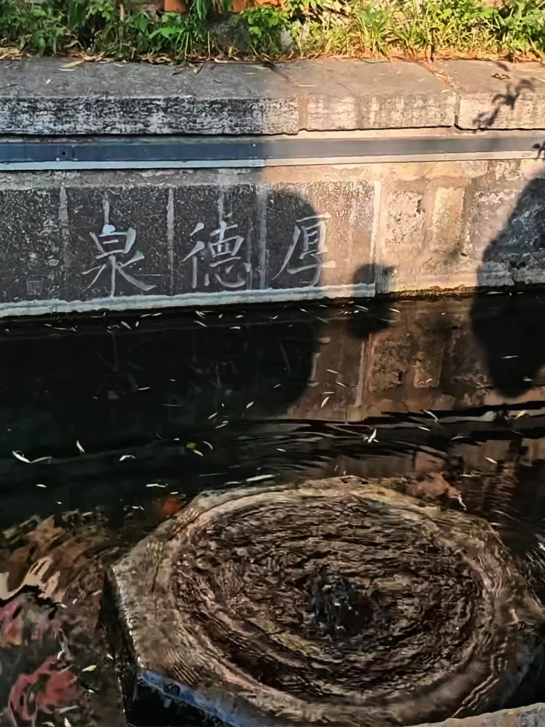 济南，免费景点凑不出两张人像发朋友圈🙂‍↔️