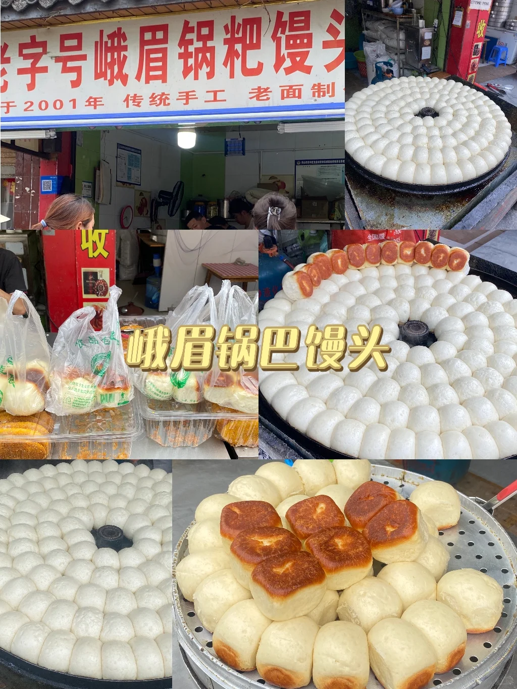 乐山旅游|本地人带路!保姆级打卡攻略✨