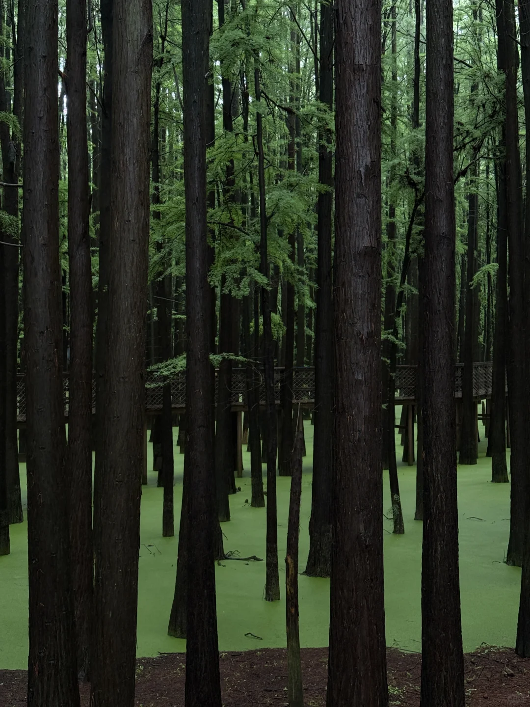 00后旅游搭子蹲蹲！主打一个发疯式快乐旅行