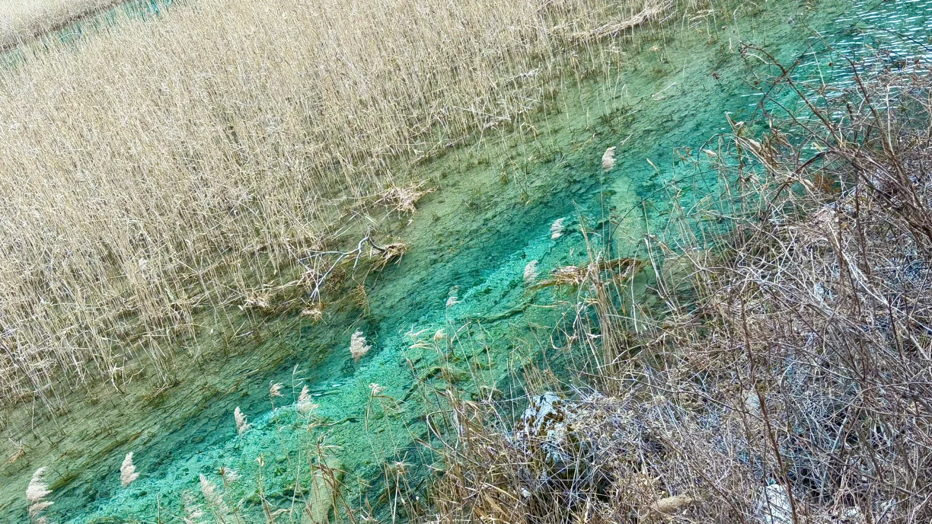 5A只是风景区的上限，不是九寨沟的上限