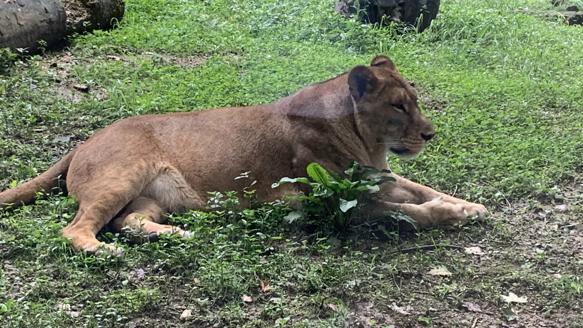 春节后，劳累工作的同时也应该出去转一转