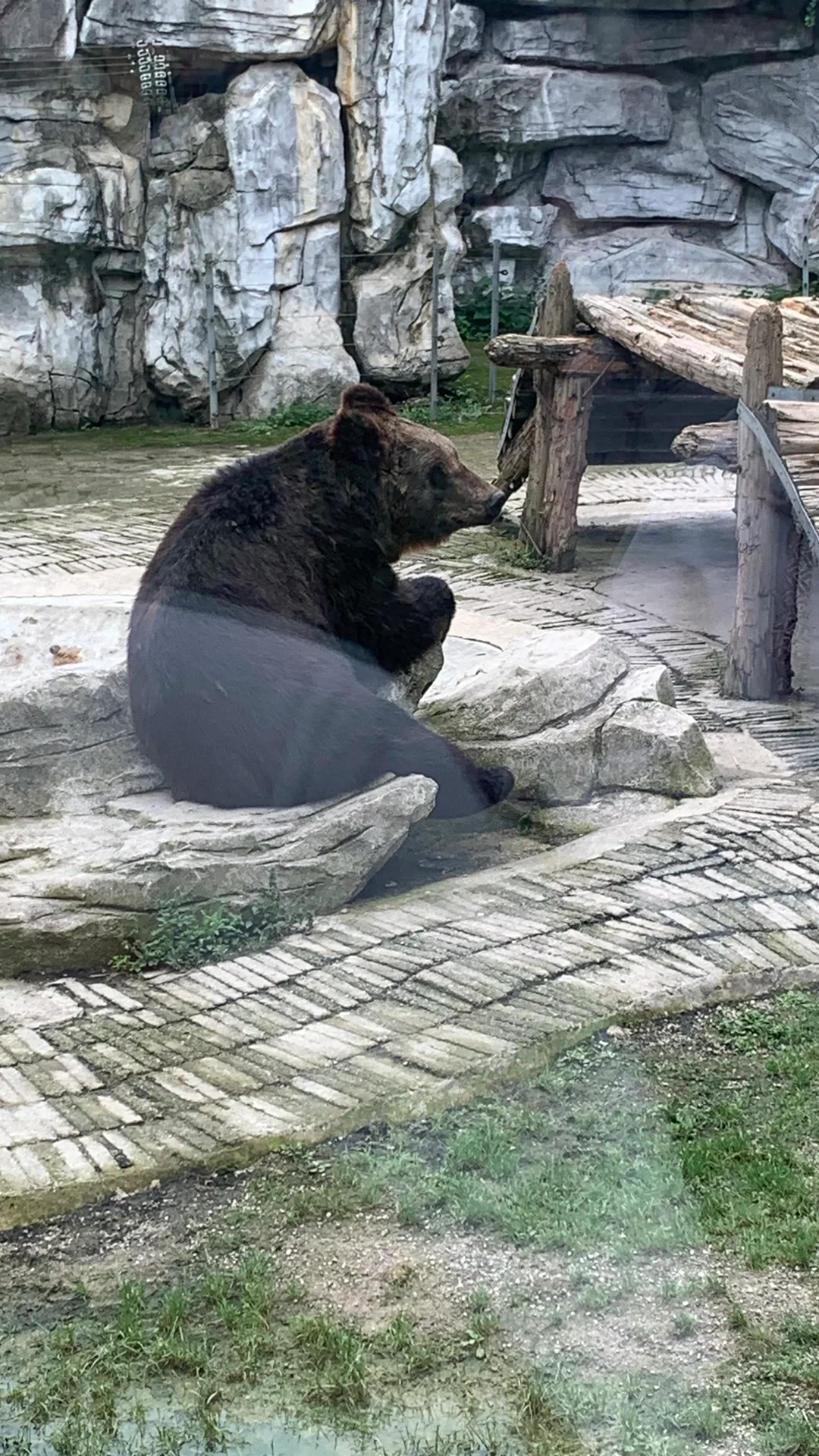 春节后，劳累工作的同时也应该出去转一转