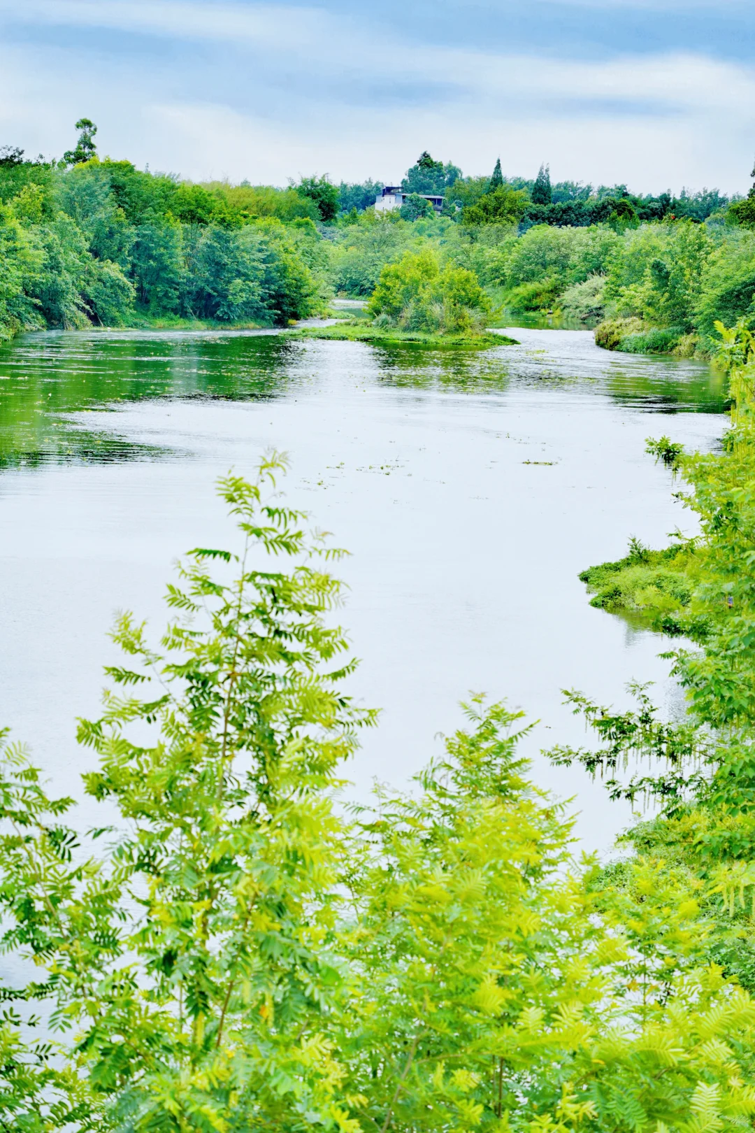 成都最美的景点果然都是免费的......
