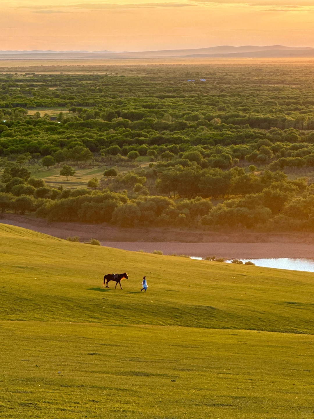 live.在呼伦贝尔实现了草原的尽头看大海!!