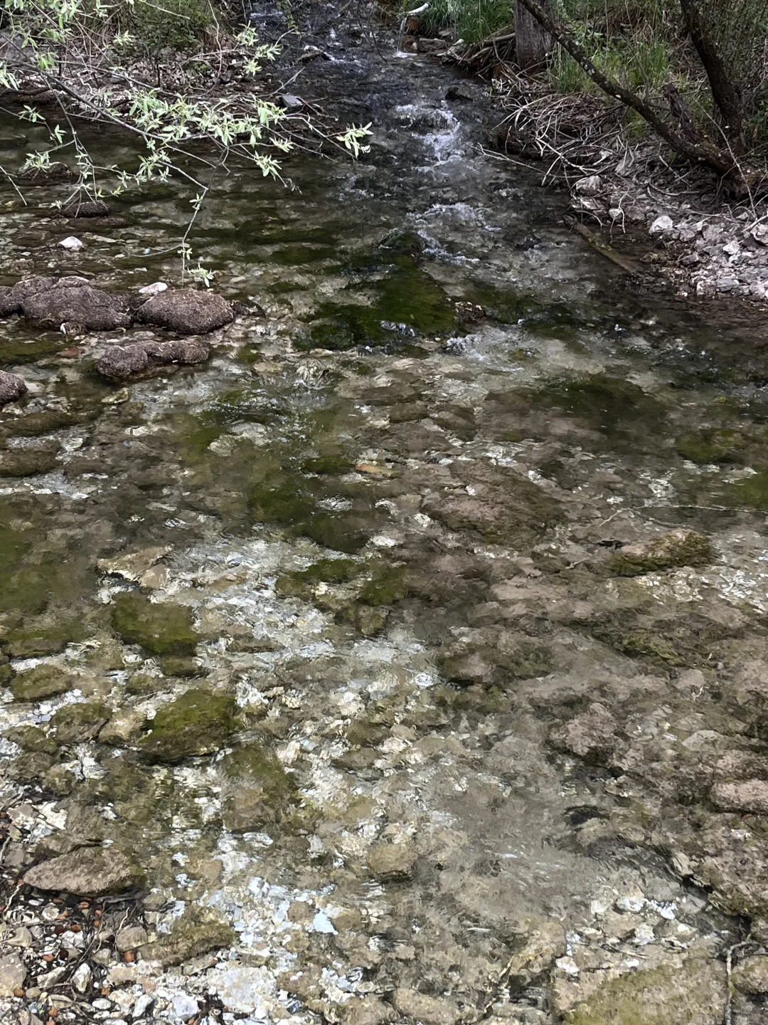 九寨沟两日游攻略｜带爸妈慢旅行