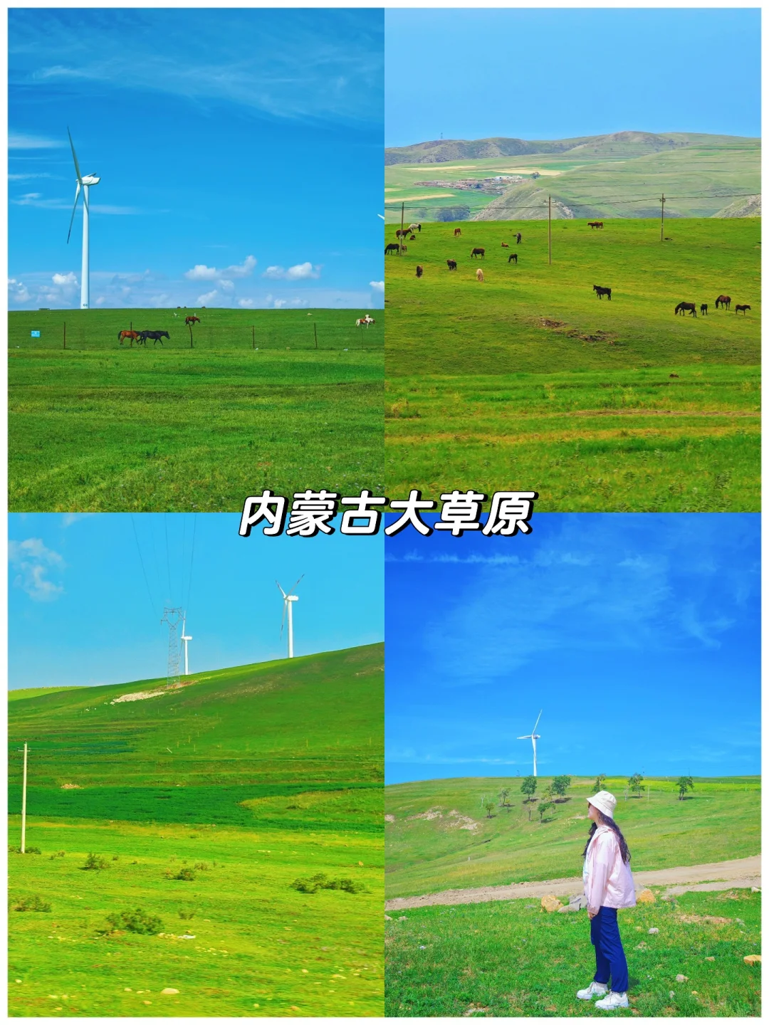 7—8月亲子旅行🏖️我推荐这8个避暑旅行地