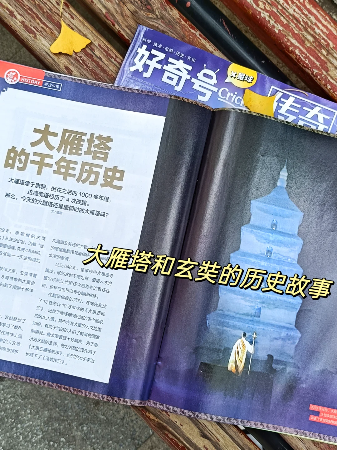 带娃旅游光拍照打卡怎么行，看完这期不白去