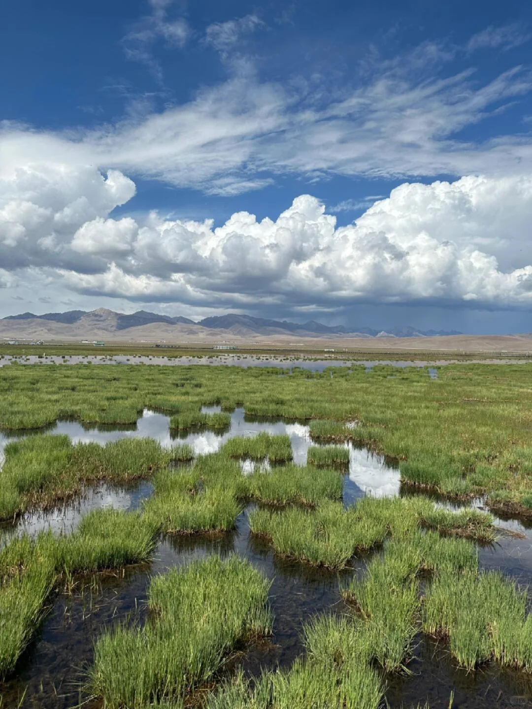 6.1📍甘南已回,说点难听的大实话。。