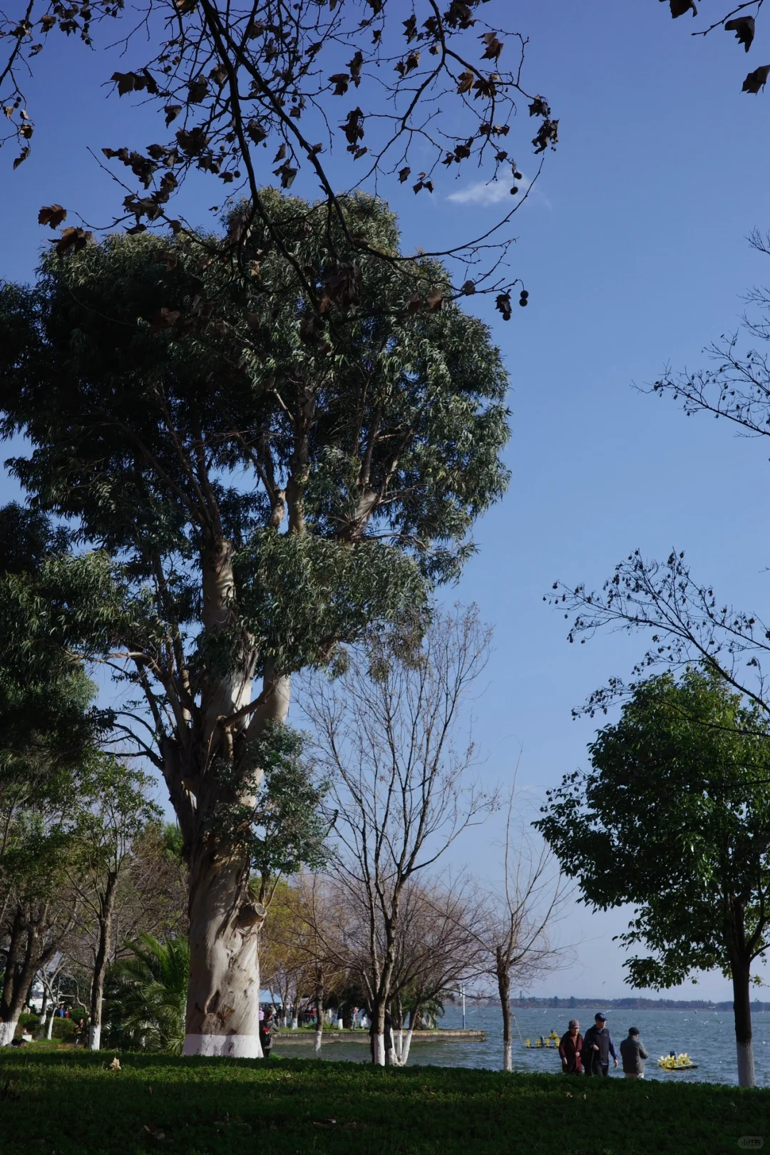 旅行干货:昆明旅游的本质是围绕三个湖