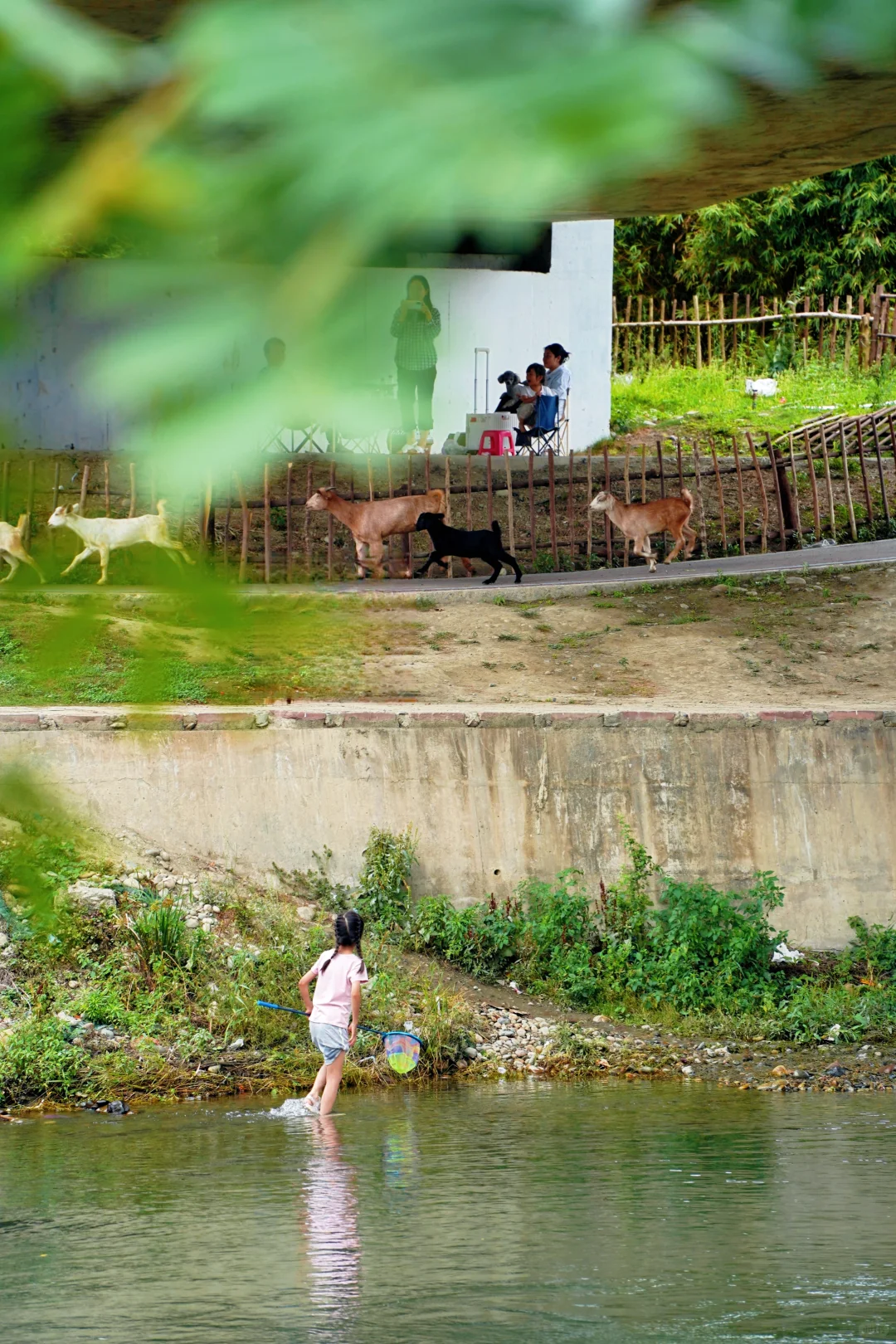 成都最美的景点果然都是免费的......